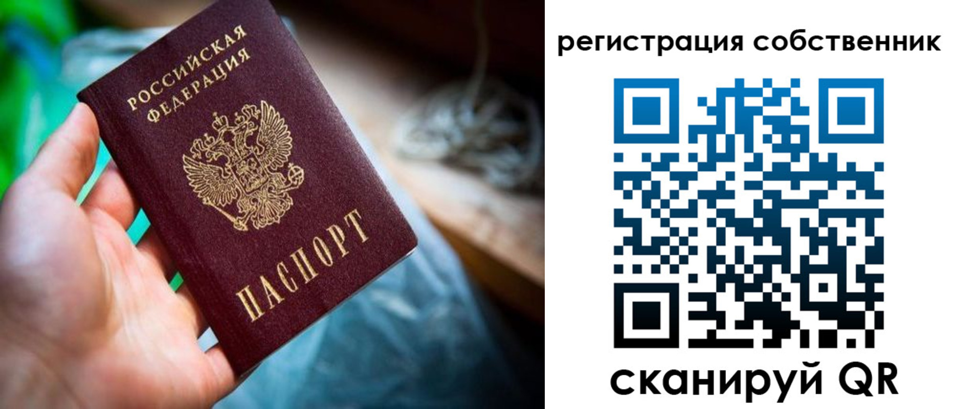 прописка гарантия в Рославле